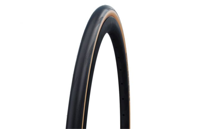 SCHWALBE